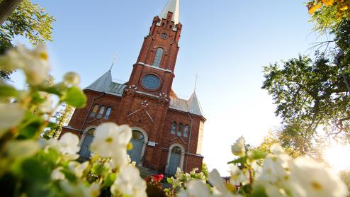 Nahaufnahme einer roten Backsteinkirche mit hohem Turm, umgeben von blühenden weißen Blumen im Vordergrund.